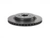 刹车盘 Brake Disc:600643100C